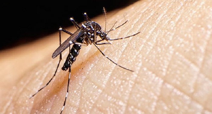 South Korean health authorities confirm seventh case of Zika virus